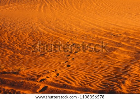 Lonely sand dunes on the drought desert landscape. The shortage of water on the planet. Warming concept. Landscape of a red planet.  Life detection on the Mars. Footprints of a person in the cosmos.