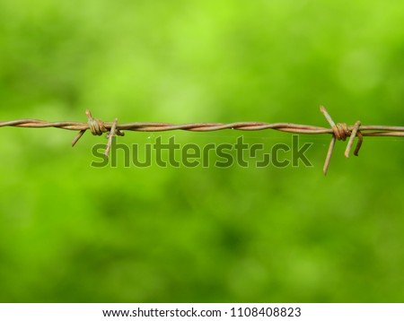 Old barbed wire against a blurred green background