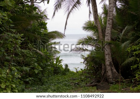 Landscape of Palau