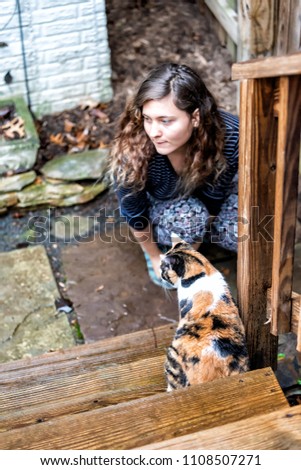 Calico cat curious exploring house backyard by wooden deck, garden, wet wood territory by woman girl owner