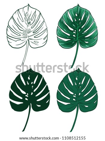Monstera palm leaf. Vector illustration. Set of exotic tropical leaf. Contour and silhouette. Decorative element.