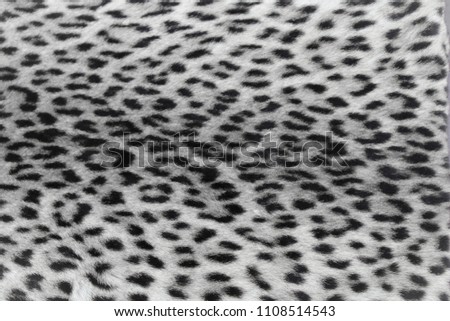 Black and white leopard print