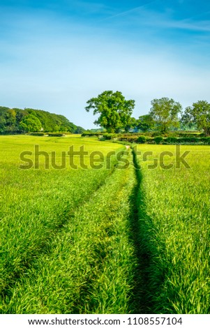 Foot path through farmers field in the afternoon of a summers day. Amersham, Buckinghamshie, England, UK Royalty-Free Stock Photo #1108557104