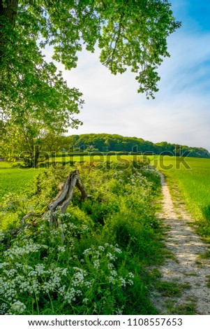 Countryside footpath next to a flowering hedgerow in the chiltern hills on a summers afternoon. Amersham, Buckinghamshire, England, UK Royalty-Free Stock Photo #1108557653
