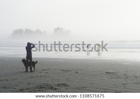 Mist rolls in late in the afternoon on Chesterman Beach, Tofino, with a dog walker watching surfers head to the waves