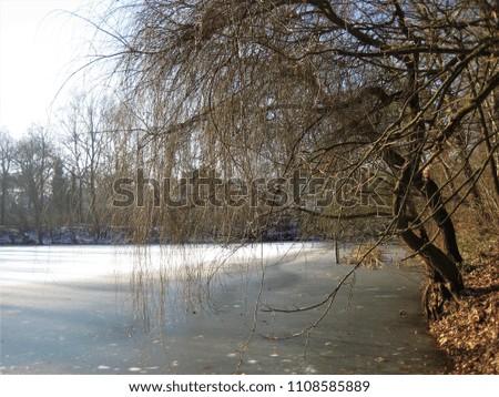photo with decorative landscape background of winter cold rural day on a pond with frozen water and covered with thin ice as a source for prints, decor, advertising, Wallpaper, posters