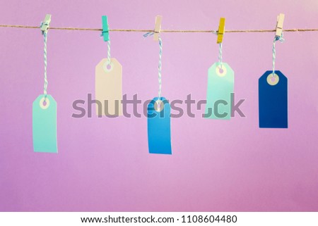 On the pink photographed labels. Five multicolored empty labels hang on a rope pinned with clothespins. Bright layout mock up.