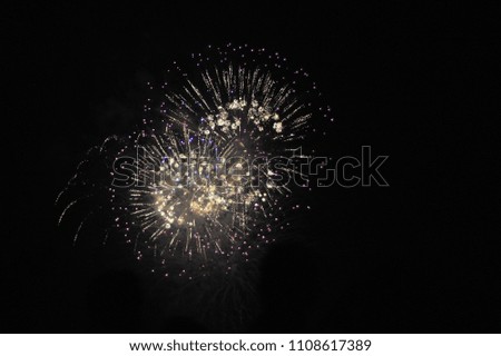 fireworks on the night