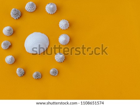 Summer mood concept - Sea shells  on a orange neon background - copy space