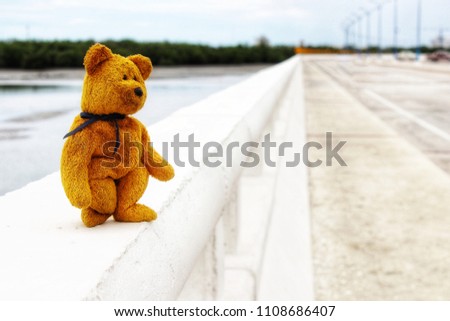 teddy bear standing on the Bridge 