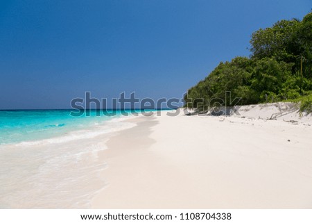 The sea with clear water, blue sky and white sand beach at Similan Island tropical beach of Thailand Koh.1