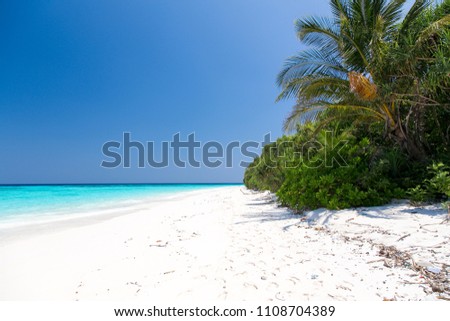 The sea with clear water, blue sky, and white sand beach, with palm tree, by the sea, summer beach, on a high season of Thailand, Amazing view of the sea on a sunny day with blue sky.
