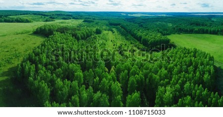 summer landscape, the wood in Russia, Siberia, shooting from air