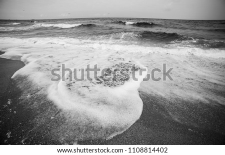 Picture of the Waves
