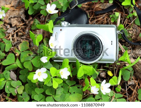 Photo digital camera in shamrock