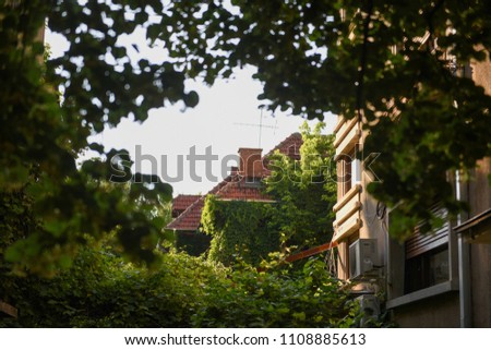 Bucharest view - Historical buildings and vegetation in Cotroceni neighbourhood