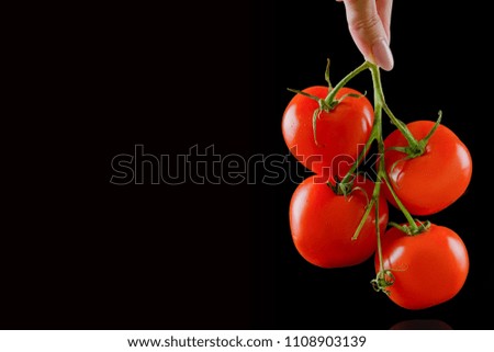 Fresh ripe tomato in female hand. Picture with space for your text.
