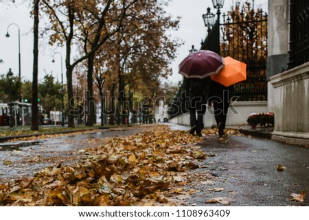 People with umbrellas walking in Vienna, Austria