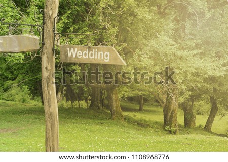 A wooden sign with the inscription "wedding" on a green lawn in the forest,