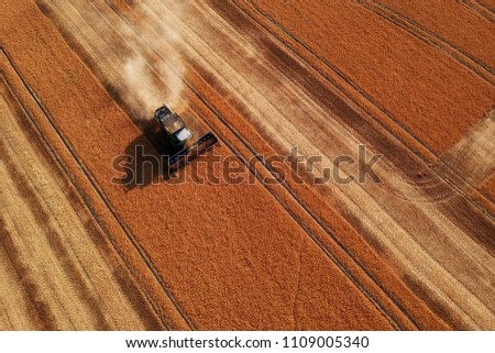 Summer view of combine harvester machine, in the romanian fields. Aerial view of harvesters Royalty-Free Stock Photo #1109005340