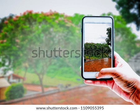 Hand of tourist taking a photo of trees in garden with Smartphone | Blurred background | Nature illustration concept