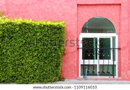 Tree Fence, Window, Resort