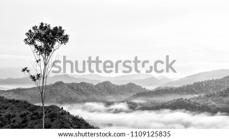 This shot is taken in Malaysia. Beautiful sea of clouds and layers upon layers of mountain made this a peaceful and beautiful landscape.  You can see very far. The tree really stands out.