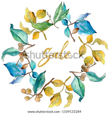 Elaeagnus leaves in a watercolor style. Frame border ornament square. Aquarelle leaf for background, texture, wrapper pattern, frame or border.