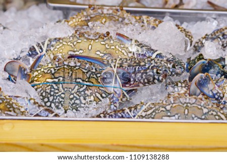 Flower Crab or Blue Swimming Crab on Ice at morning Street Market