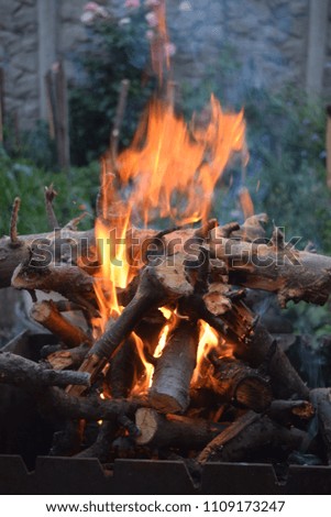firewood hot fire 