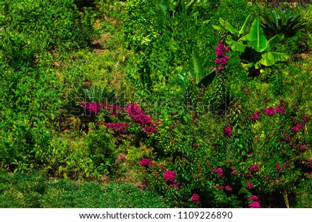 Background and texture of beautiful green grass,trees, plants and flowers pattern. a lawny hotel exterior. free space for text