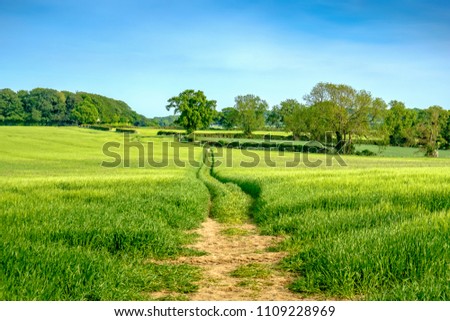 Countryside path across a farmers field on a summers afternoon in the Chilterns. Amersham, Buckinghamshire, England, U.K. Royalty-Free Stock Photo #1109228969