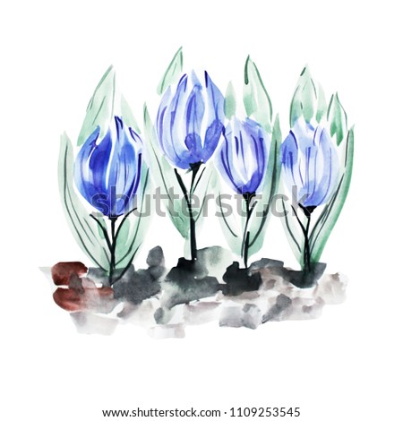 Decorative watercolor crocus flowers clipart, design elements. Can be used for cards, invitations, banners, posters, print design. Watercolor floral background