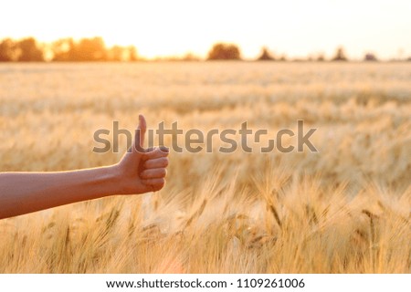 hand against a wheat field background shows a sign of "good"