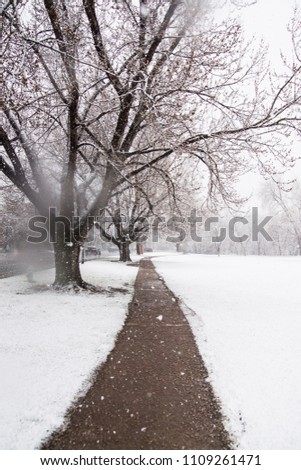 Winter in wonderland
