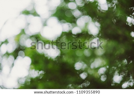 abstract, Green leaf bokeh nature dark green background.