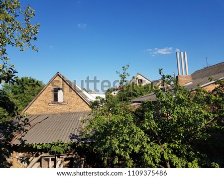 Treetops and roofs building under sunny blue sky