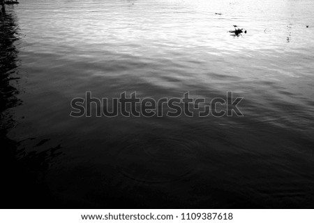 Mystic dark monochrome river surface, wavy and ripples. Tranquil and calm scene