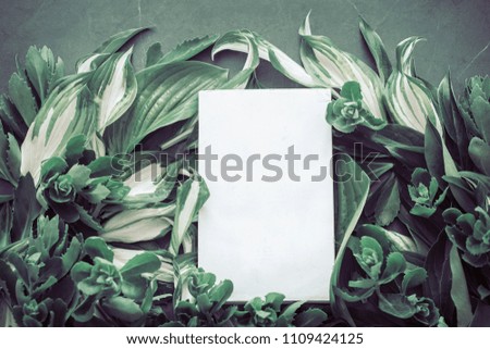 foliage background place for text creative texture dark green on a dark background, concept natural texture background, nature
