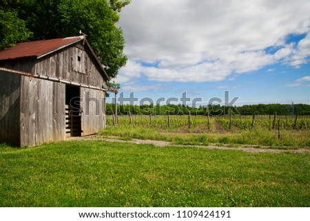Lush green grass leads to a wooden barn and vineyard landscape. Horizontally aligned wooden posts mark rows of grape vines that fade into a tree line and cloudy blue sky at a winery in Ontario.
