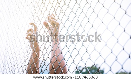 Close up hand of man grab steel net for waiting freedom of life with blue sky background