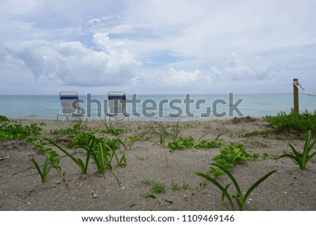 Landscape photo of beach grass with beach chair