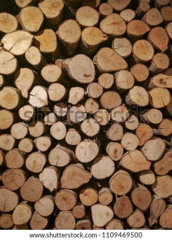 Beautiful pattern of different sizes of logs were stacked together as a wall. Can be used as background or interior picture.