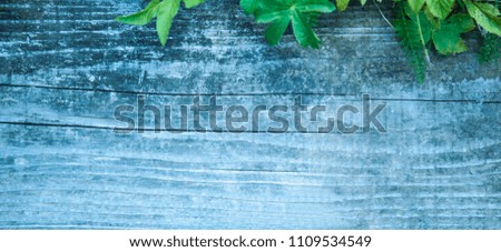 Old rich wood grain texture background 