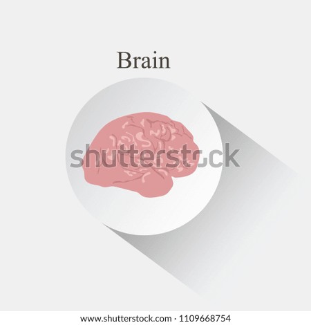 Human brain icon design. Internal organs vector