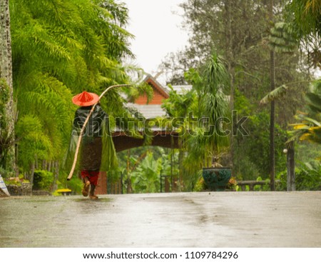 The gardener, wearing a green raincoat and a red hat, was walking to survey at the time of the rain.