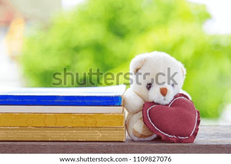 A cutie white teddy bear with a brown shape heart pillow learning old books on wooden board with nature background.
