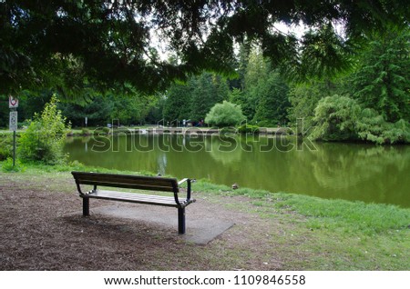 a picture of a park bench under a tree facing to the lake and trees in Central park, Burnaby, BC, Canada