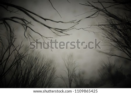 Black and white image of tree limbs in snow storm from perspective of looking skywards 