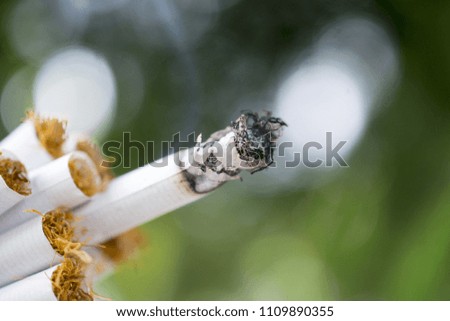 burning cigarette pictured outdoor